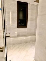 Ardmore Park (D10), Condominium #568785741